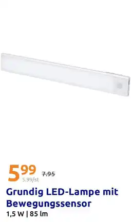 Action Grundig LED-Lampe mit Bewegungssensor Angebot
