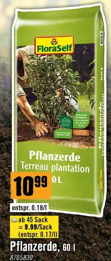Hornbach Pflanzerde Angebot