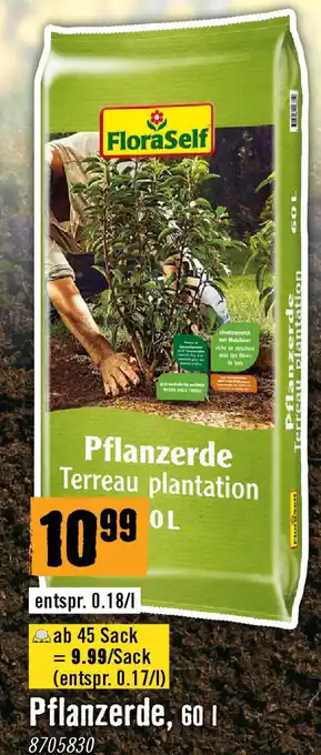 Hornbach Pflanzerde Angebot