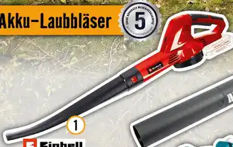 Hornbach 1gc-cl 18 li e-solo18 v, max Angebot
