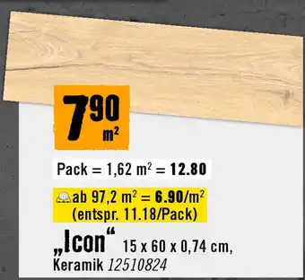 Hornbach Icon Angebot