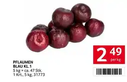 Transgourmet Pflaumen blau kl.1 Angebot