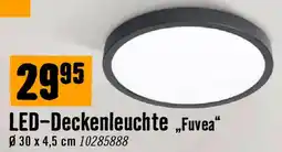 Hornbach LED-Deckenleuchte Fuvea Angebot