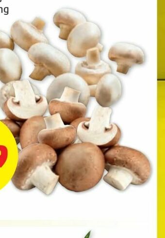 PENNY Champignons Angebot