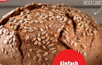 PENNY Sonnenblumenbrot Angebot