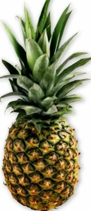 PENNY Ananas Angebot