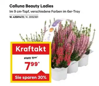 Lagerhaus Calluna Beauty Ladies Angebot
