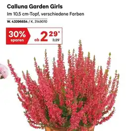 Lagerhaus Calluna Garden Girls Angebot