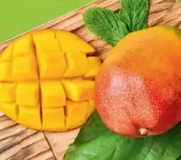 Hofer Hofer Marktplatz Iss Reif! Mango Angebot