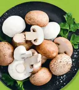 Hofer Hofer Marktplatz Champignons Angebot