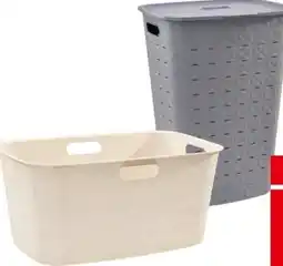 Interspar Simpex Color Wäschekörbe Angebot
