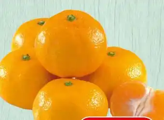 Spar Satsumas Angebot