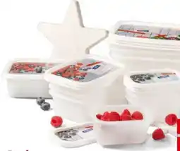 Interspar III Rotho Gefrierdosen-Set Domino Angebot