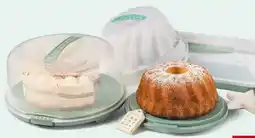 Interspar Simpex Color Torten-Kuchenbehälter Angebot