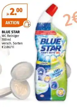Müller BLUE STAR WC Reiniger Angebot