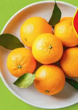 Hofer Hofer Marktplatz Satsumas Angebot