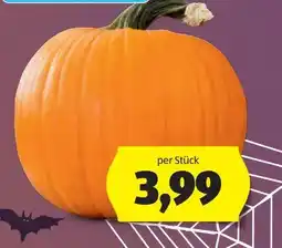 Hofer Halloweenkürbis Angebot