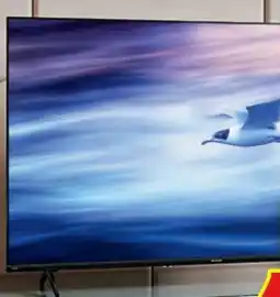 Hofer Sharp Smart TV FHD HE2245E Angebot