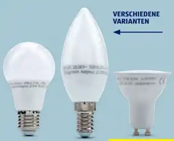 Hofer Casalux LED-Leuchtmittel Angebot