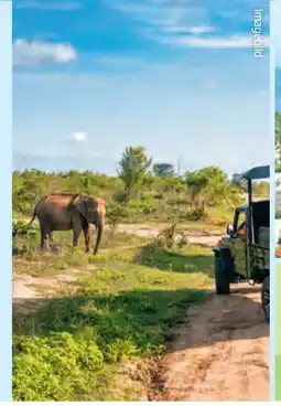 Hofer Hofer-Reisen Tansania-Sansibar Safari-Baden Angebot