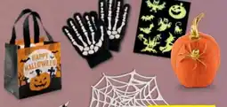 Hofer Jes Collection Halloween Artikel Angebot