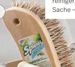 Maximarkt Splendid Nature Fegbürste Angebot