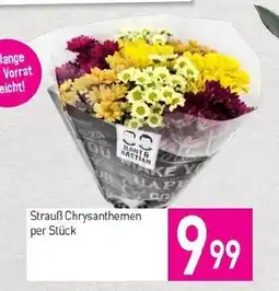 Sutterlüty Strauß Chrysanthemen Angebot