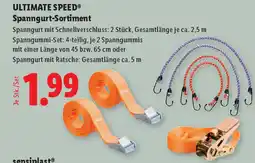 Lidl Ultimate speed spanngurt sortiment Angebot
