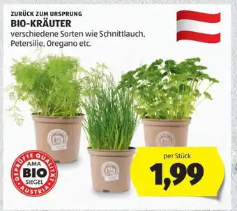 Hofer BIO-KRÄUTER Angebot