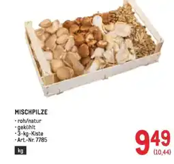 Metro Mischpilze Angebot
