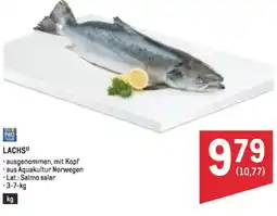 Metro Lachs Angebot