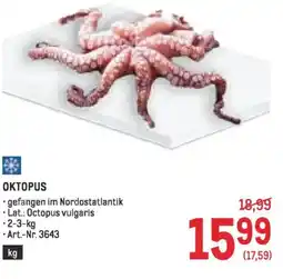 Metro Oktopus Angebot