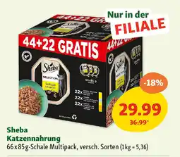 Fressnapf Sheba Katzennahrung Angebot