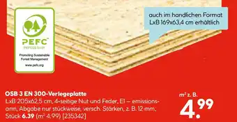 Hellweg OSB 3 EN 300-Verlegeplatte Angebot