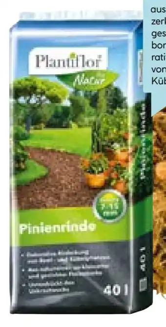 Hellweg Plantiflor Pinienrinde Angebot