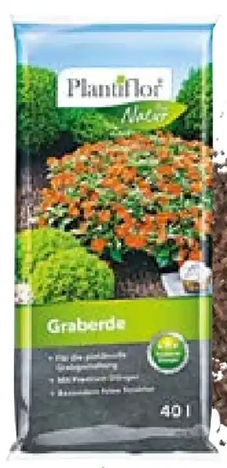 Hellweg Plantiflor Graberde Angebot