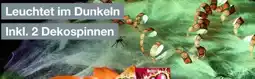 Woolworth Halloween-Spinnennetz Angebot