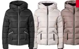 Woolworth Kapalua Damen-Steppjacke Angebot
