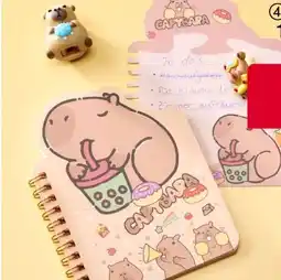 Woolworth Notizbuch Capybara Angebot