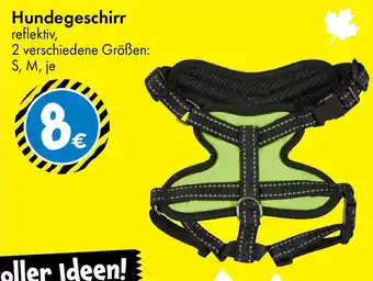 TEDi Hundegeschirr Angebot