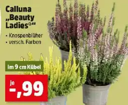 Thomas Philipps Calluna beauty ladies Angebot