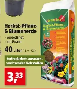 Thomas Philipps Herbst pflanze & blumenerde Angebot