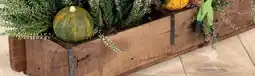 Thomas Philipps Deko- holzkiste Angebot