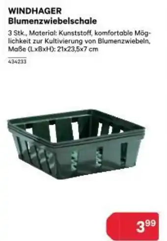 BayWa Windhager blumenzwiebelschale Angebot