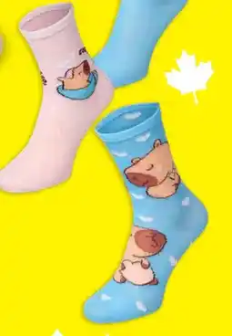 TEDi Damen Socken Capybara Angebot