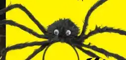 TEDi Halloween Haarreifen Angebot