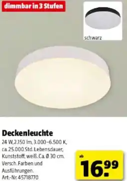 Hagebau Deckenleuchte Angebot