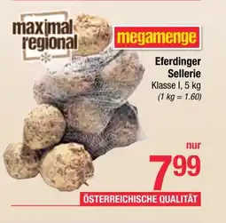 Maximarkt Eferdinger sellerie Angebot