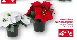 KiK Weihnachtsstern Angebot