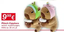 KiK Plüsch-capybara Angebot